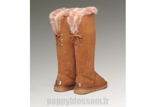 Sommet des charts Ugg-214 Grand fourrure Fox Chataigne Bottes?